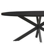 Esstisch oval Milo Mangoholz Schwarz