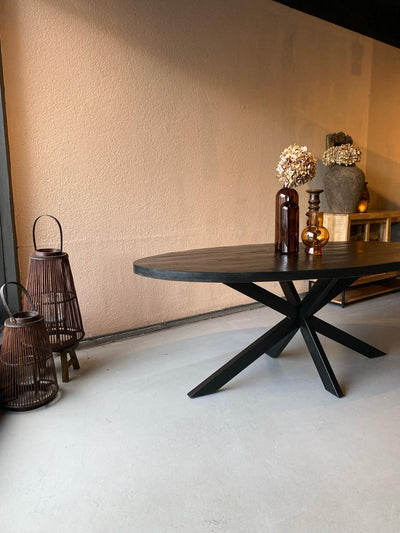 Eettafel ovaal 240x110 cm mangohout ZWART
